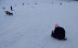 Playing in the Snow