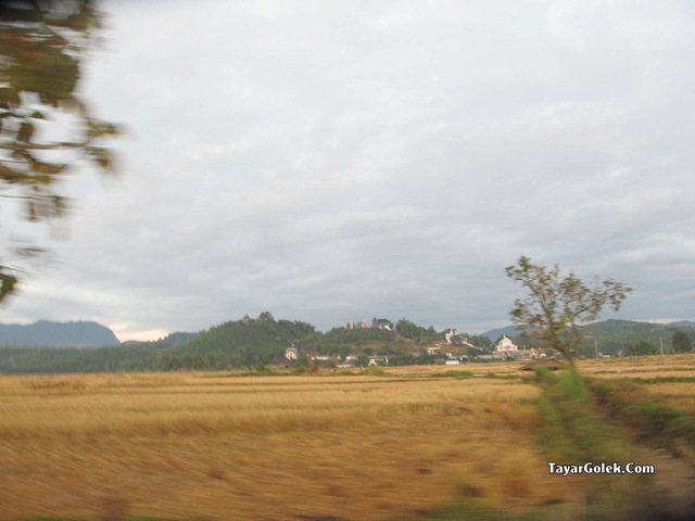 [IMG_76572.jpg]