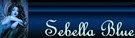 signature (1) signature (1)