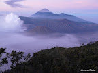 Bromo
