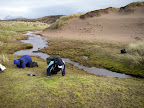 Achnahaird - Petalophyllum found at both side of burn - site 12.JPG