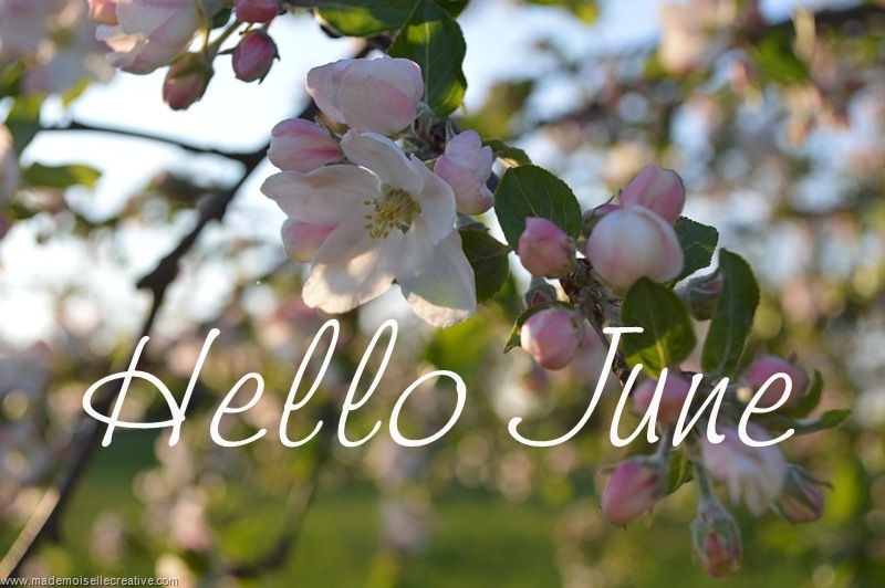 Hello June Hello June