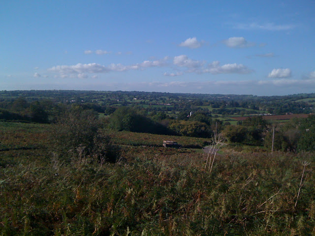  Autumn in the Chew Valley