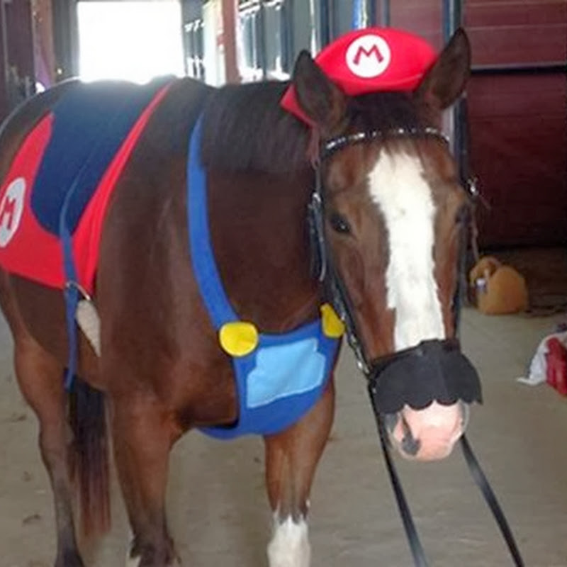 Trauriges Pferd ist als Mario verkleidet