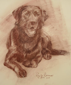 Bruine Labrador in rood krijt