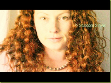 stubbornstreak