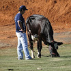superleite2011_dia1407_08.JPG
