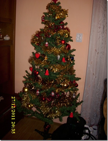 IMG_1755 IMG_1755