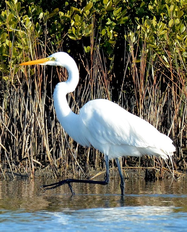 [Mustang-cove-day_0144.jpg]