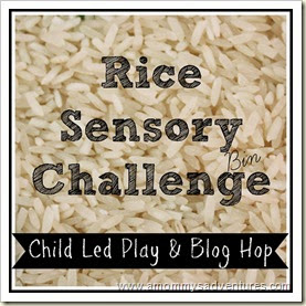 Rice Sensory Bin Challenge