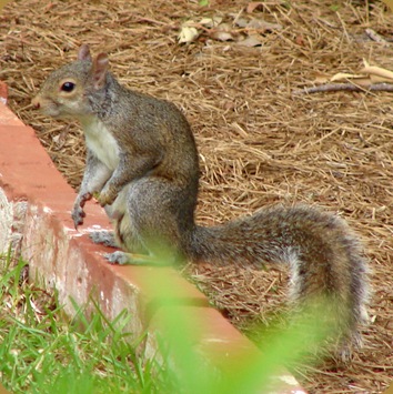 DSC03877 DSC03877