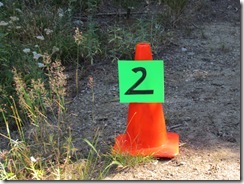 IMG_8152 IMG_8152