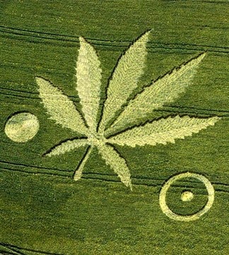 [crop-circles_weed2%255B9%255D.jpg]