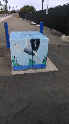 Sea Birds Box