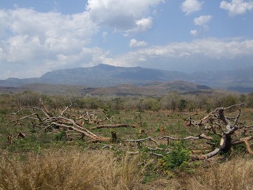 [DSCF7720%255B5%255D.jpg]