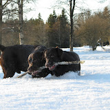 IMG_5792.JPG