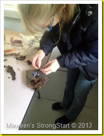 IMG_1194 IMG_1194