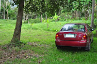 pinoyecofarm january _0102.JPG
