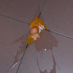 DSC_3967.JPG
