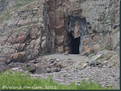 12-St-Ninians-cave