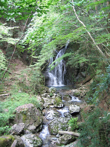 狒狒の滝