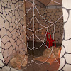 DSCN0638.JPG