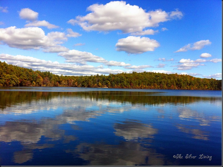 Walden's Pond 10-11