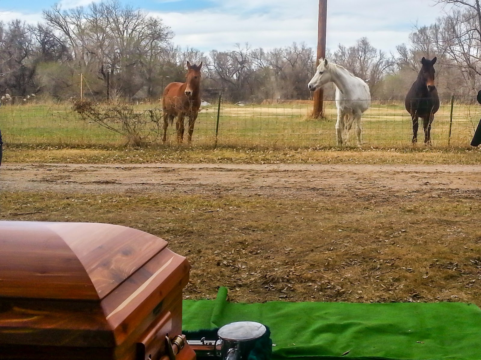 [2015-03-31%252016.04.34%255B11%255D.jpg]