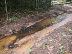 The crude from the July 29 2010 spill flows down the stream into the river.