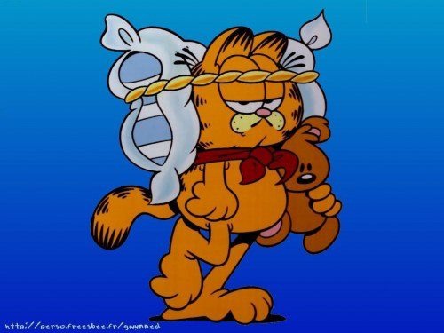 [Garfield%2520noni%255B2%255D.jpg]