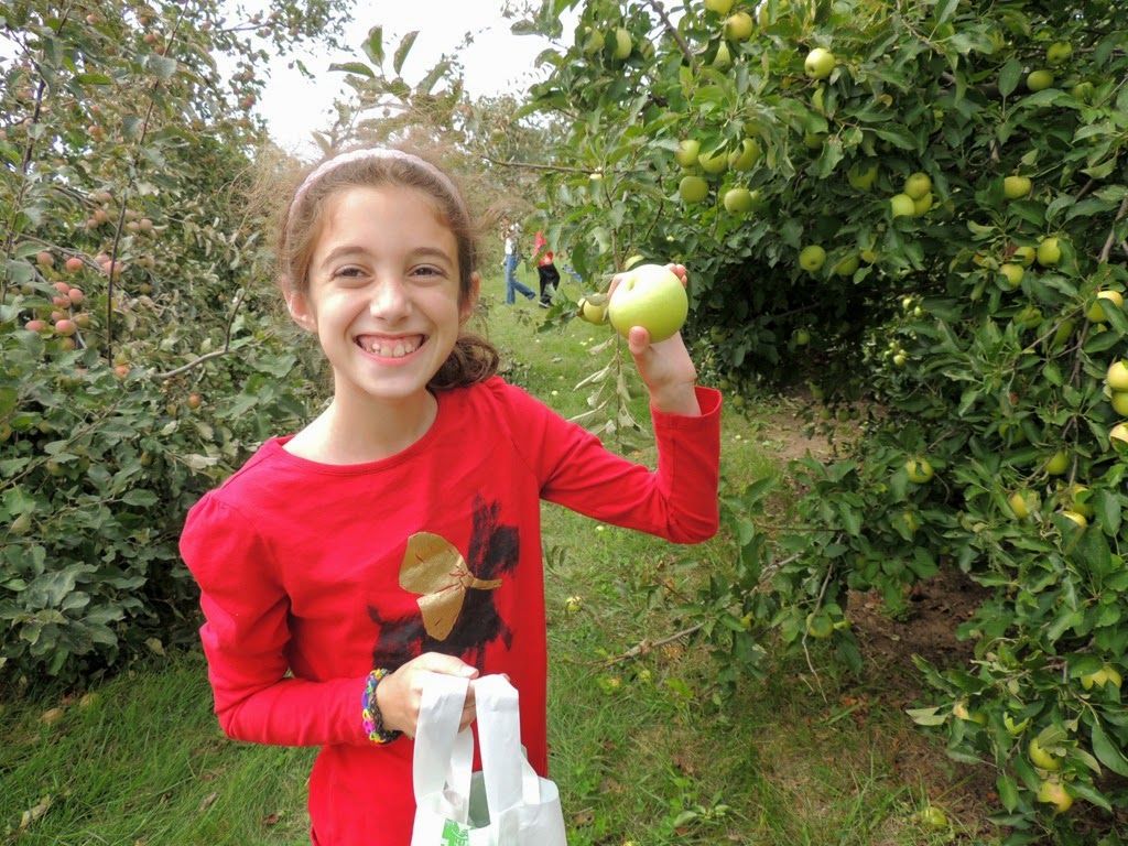 [DSCN0312%255B3%255D.jpg]