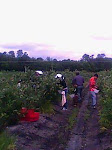 IMG0019A.jpg