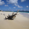  Snorkel Buck Island Reef 
