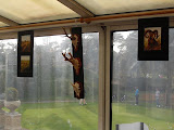 Photo42 111105 Wildwedstrijd