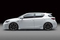 Wald_CSP_Lexus-CT200h-4