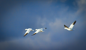 IMG_7527-Edit-2