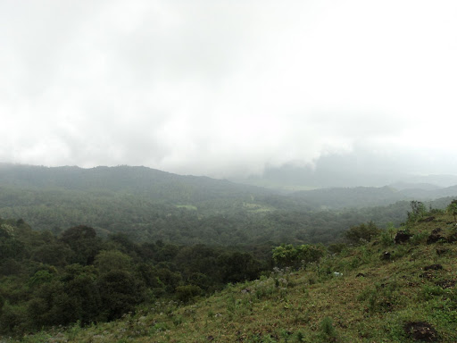 Palankhet Photo