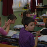 IMGP7928.JPG