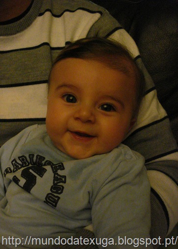 DSC03920 DSC03920