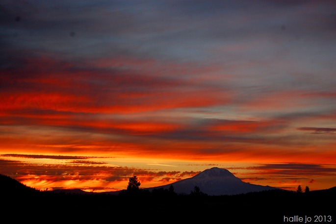 Mountain7 Mountain7