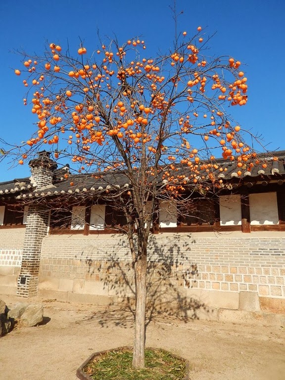 [2013_Day6_206.jpg]