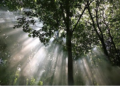 [Bild%255B5%255D.jpg]