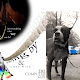 1998 - This was just a fun advertising collage I created using some of the photos that were brought to me at my shop.
