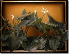 images (2)