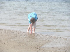 Cape Cod 2011 Elaine picking seashells 1