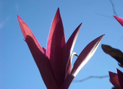 DSCN5022.JPG
