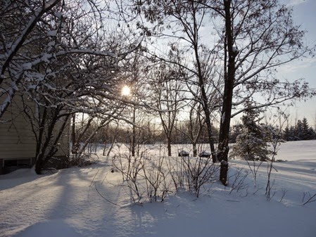 20150212_092038-property-snow