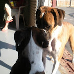 DSCN2524.jpg