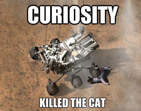 [Curiosity%2520killed%2520the%2520cat%255B3%255D.jpg]