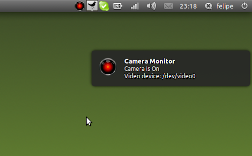 Camera Monitor